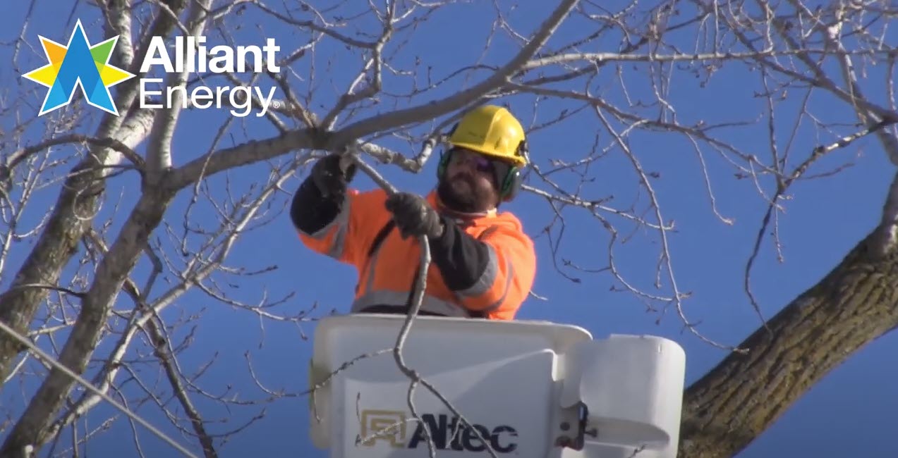 tree trimming worker